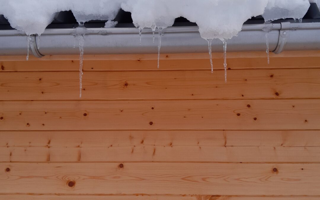 Winterliche Hairnährung