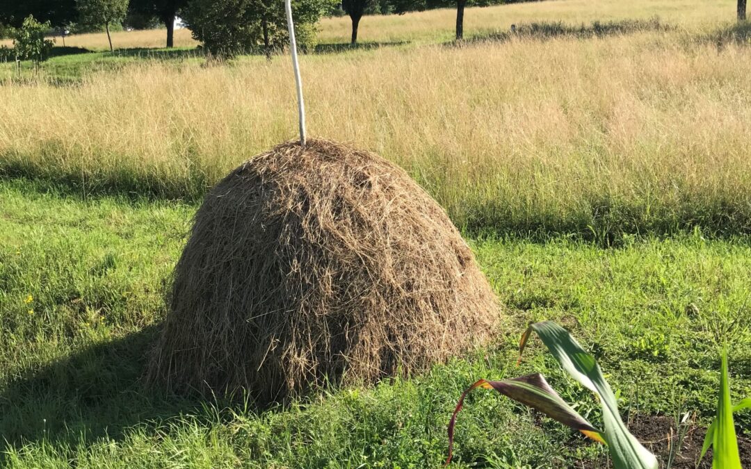 Nützt nichts gibt’s nicht.